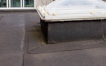disadvantages of Fotherby flat roofs