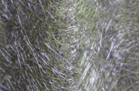 Fotherby fibreglass roof work