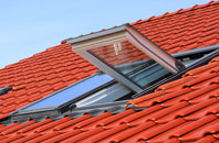 Fotherby roof window